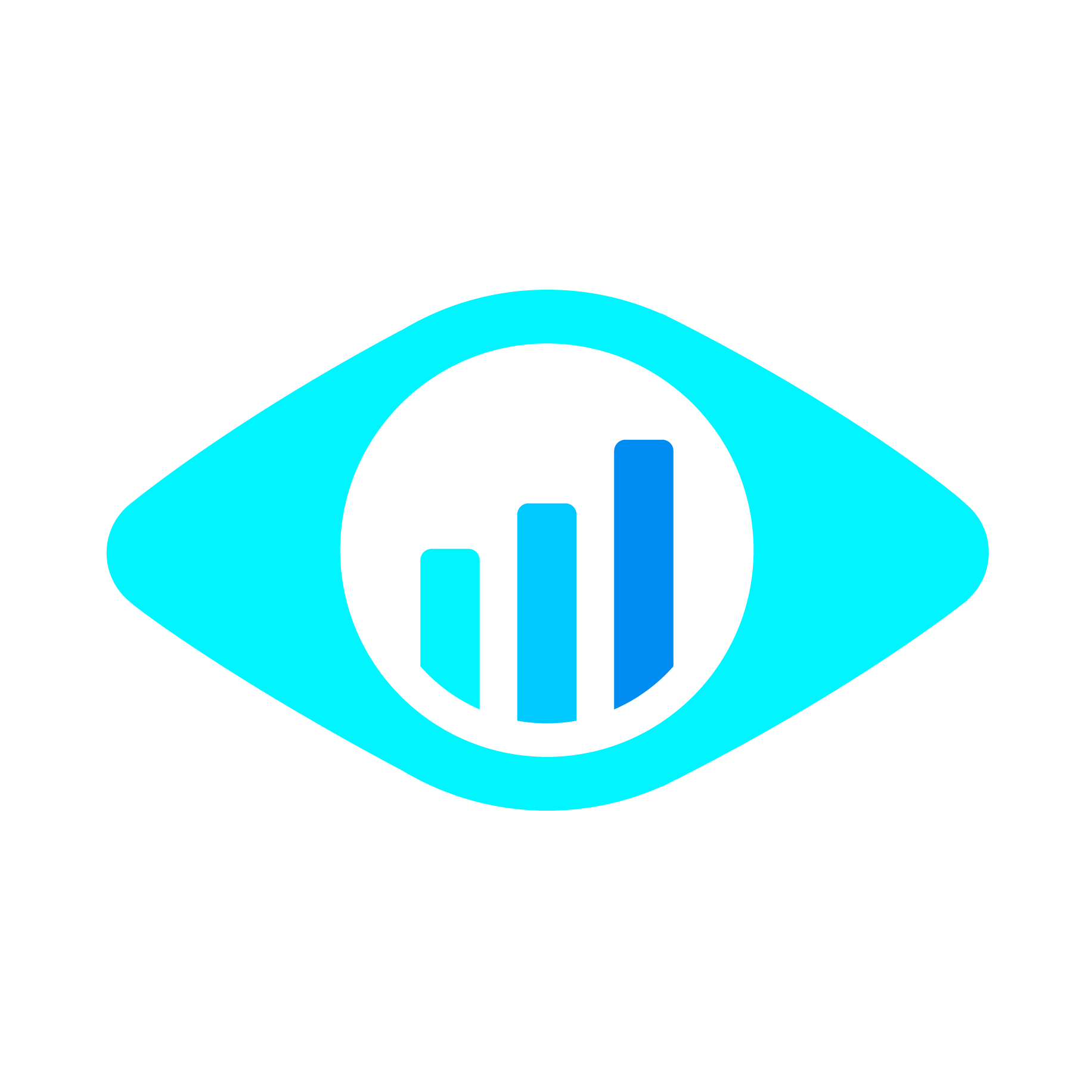 BigHand Evaluate 